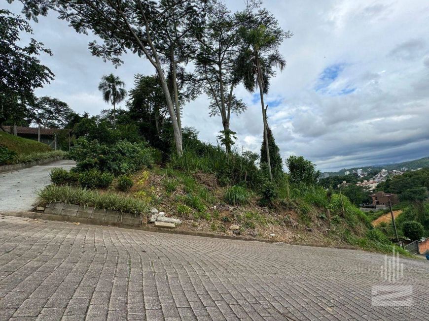 Terreno à venda, 450 m² por R$ 219.000,00 - Escola Agrícola - Blumenau/SC