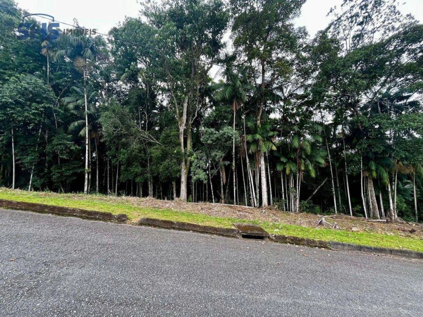 Terreno à venda, 765 m² por R$ 500.000,00 - Velha - Blumenau/SC