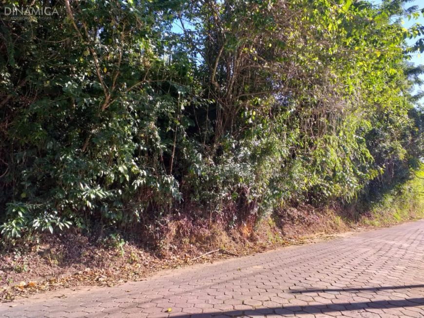 Terreno 684 m 2 no Bairro Salto! Localização bem próxima Rua Bahia! Pode ser construído Sobrados ou