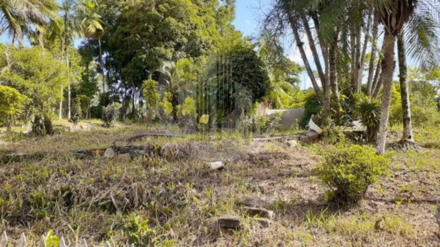 Terreno com uma Área total de 1.025 m² em Blumenau
