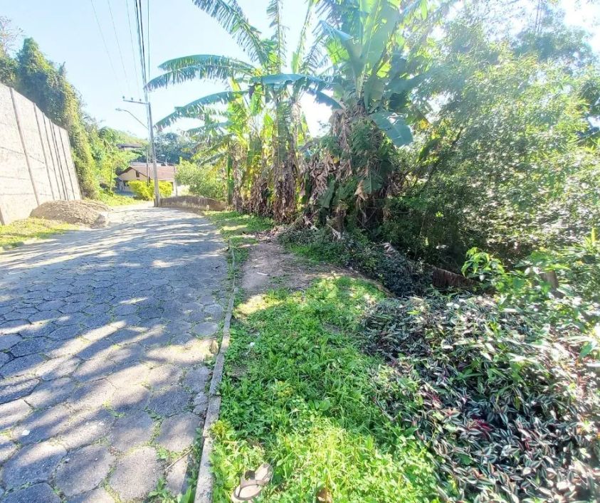 Terreno no bairro Fidélis em Blumenau!