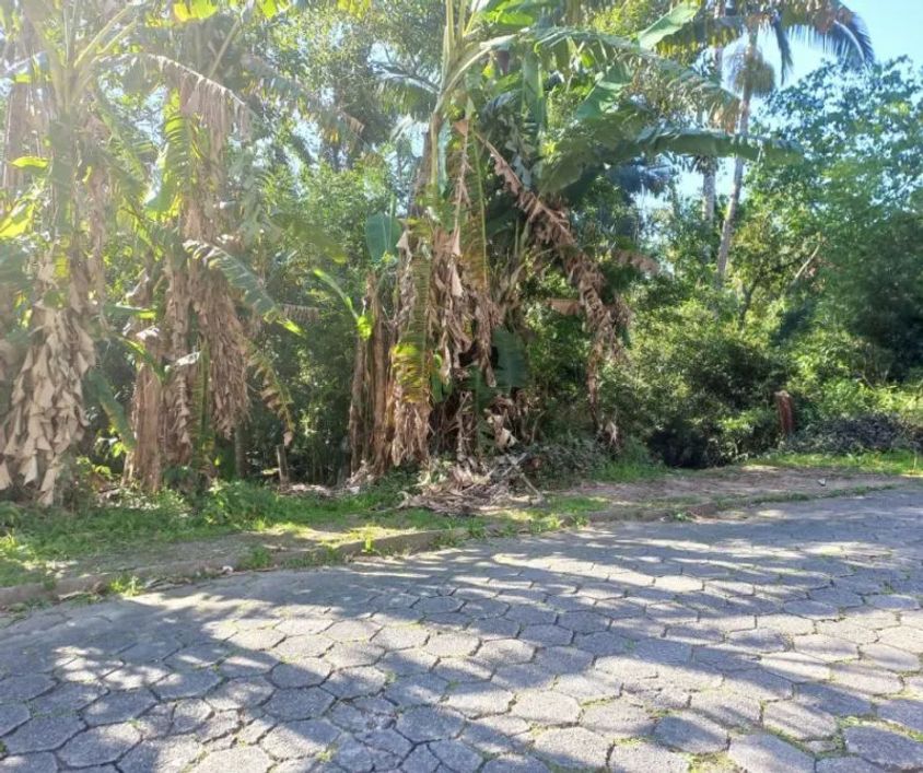 Terreno no bairro Fidélis em Blumenau!