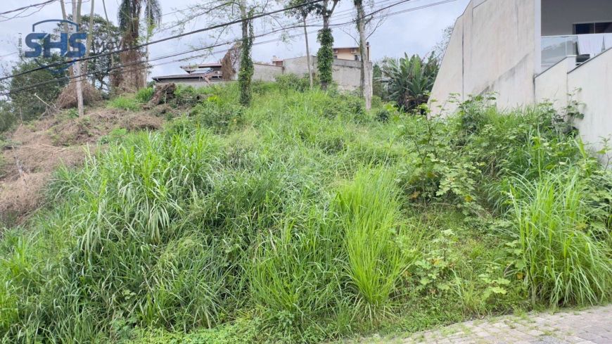 Terreno à venda, 465 m² por R$ 295.000,00 - Escola Agrícola - Blumenau/SC