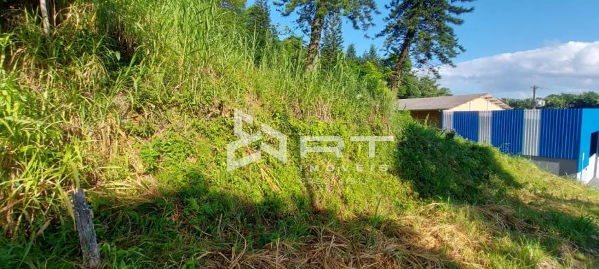 Terreno medindo 750m² a venda no Bairro Salto Weissbach, Blumenau/SC