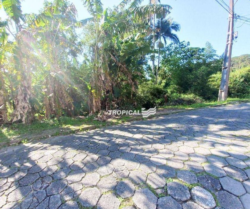 Terreno à venda, 960 m² por R$ 449.000,00 - Fortaleza - Blumenau/SC