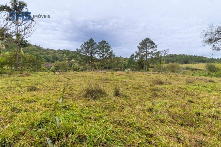 Terreno à venda, 63370 m² por R$ 3.500.000,00 - Fortaleza Alta - Blumenau/SC