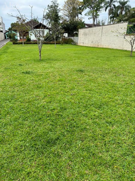 Excelente terreno com área de 1.589,41m², localizado na rua Coronel Feddersen.