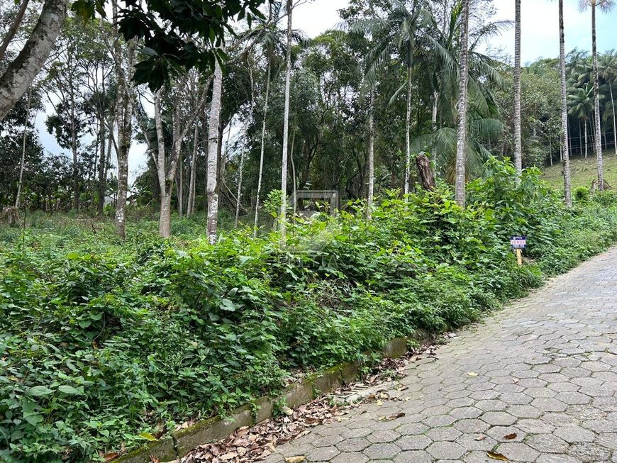 Terreno no bairro Velha