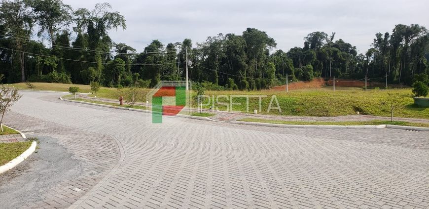 Terreno no Loteamento Arbore I na Itoupavazinha