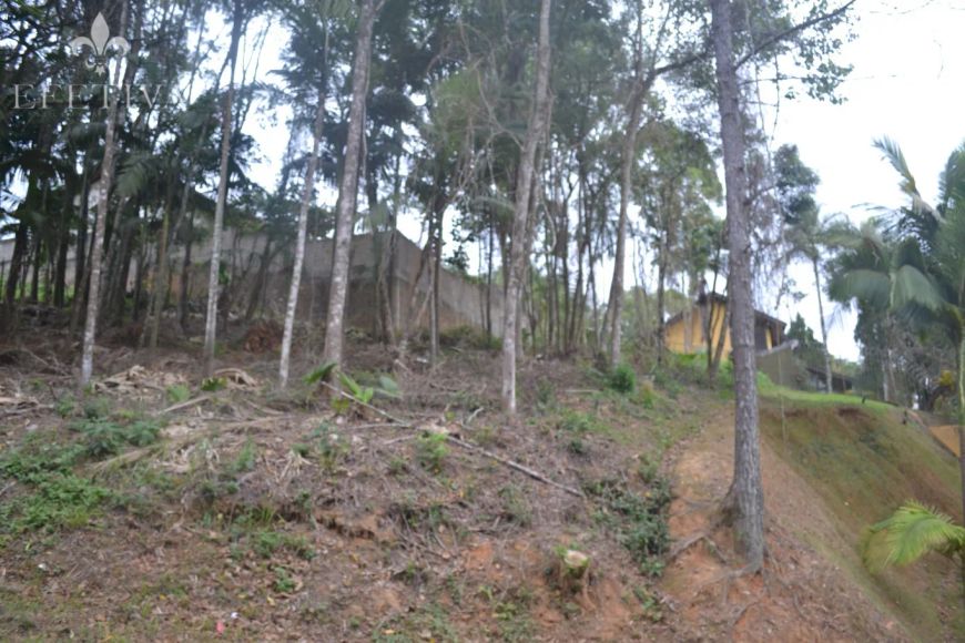 Terreno pronto para construir; aceita permuta na construção local; livre de enchente.
