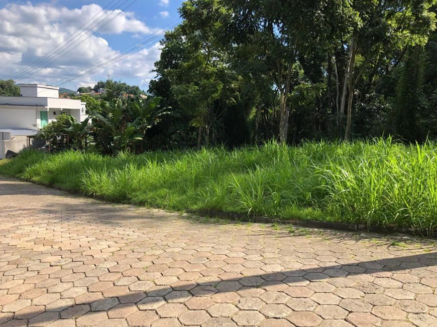 Terreno grande em rua sem saída à venda no bairro Escola Agrícola/ Blumenau- SC