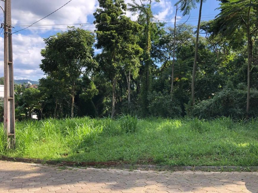 Terreno grande em rua sem saída à venda no bairro Escola Agrícola/ Blumenau- SC