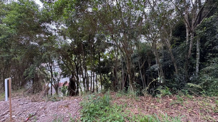 Terreno à Venda com 711m² em Boa Localização no bairro Garcia em Blumenau