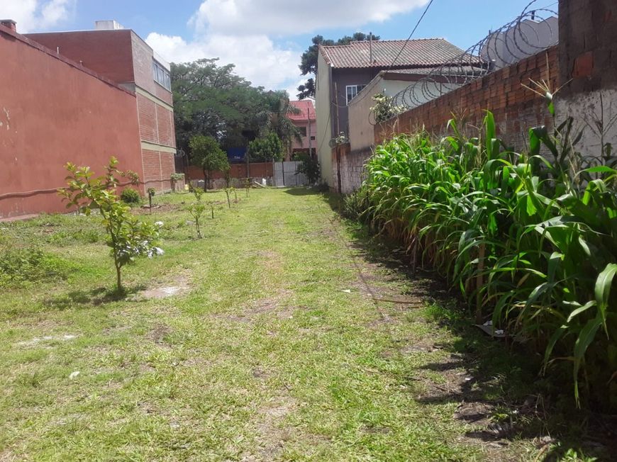 Terreno à Venda no bairro Rio Branco com 818m²