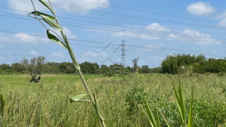 Área de terra à venda