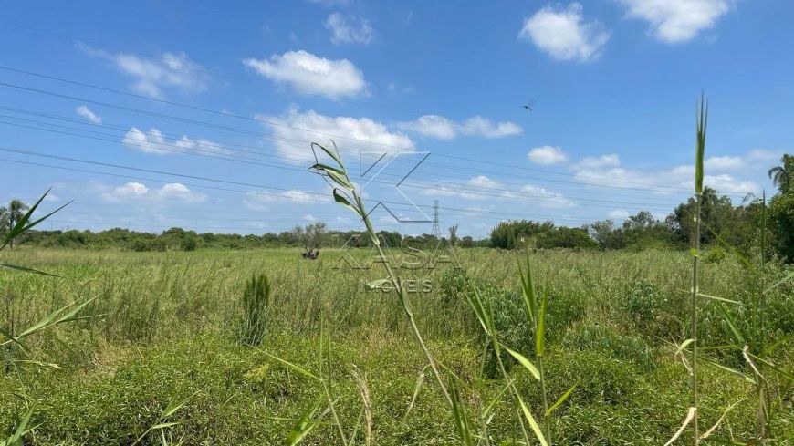 Área de terra à venda