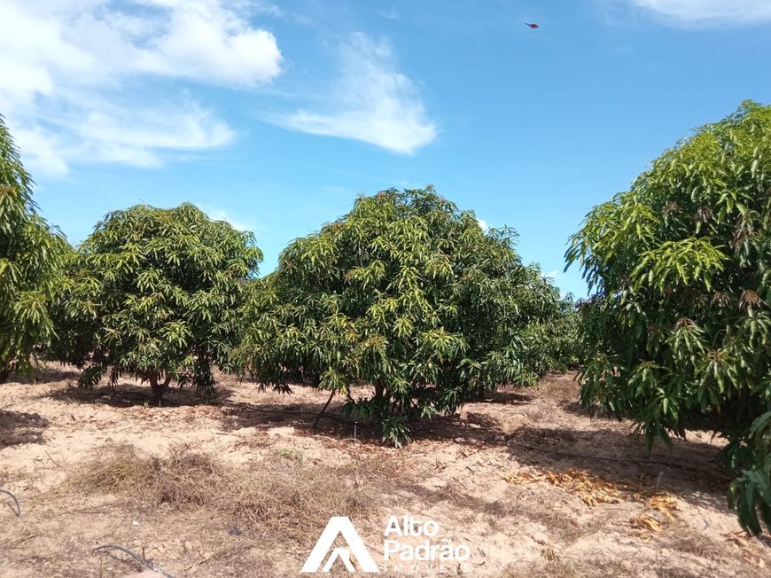 FAZENDA COM 497 HECTARES | Á VENDA | REMANSO - BA
