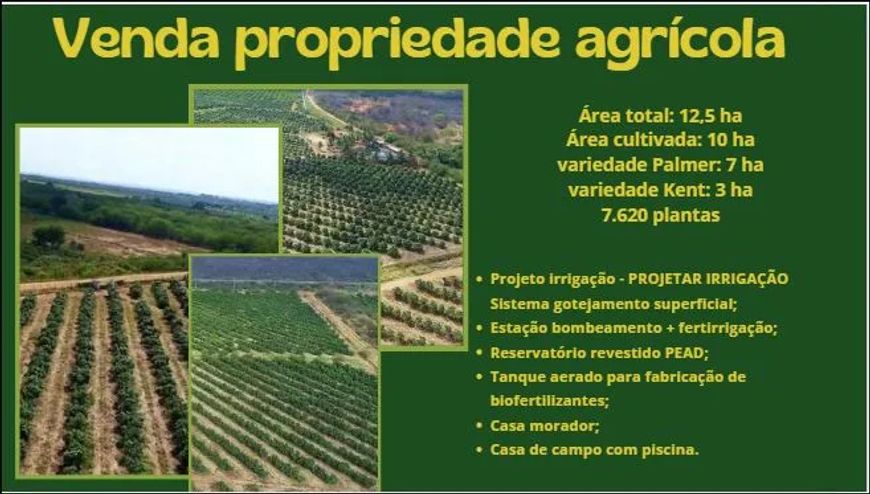 Imóvel para venda com 100000 metros quadrados em Nova Descoberta - Petrolina - PE