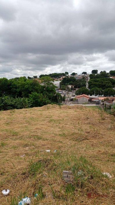Terreno à venda, 1124 m² por R$ 800.000,00 - Jardim Baronesa - Taubaté/SP