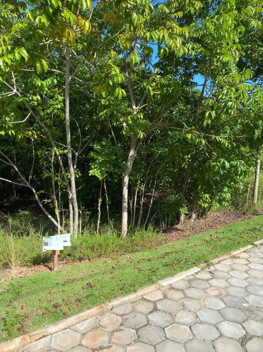 Lote Terreno Condomínio Canto de Guarajuba 586m² Plano Reg. Estrada do Coco Praia do Forte Guarajuba