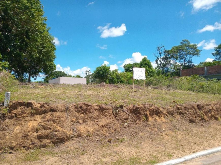 Excelente Lote Plano 435 m2 em Abrantes
