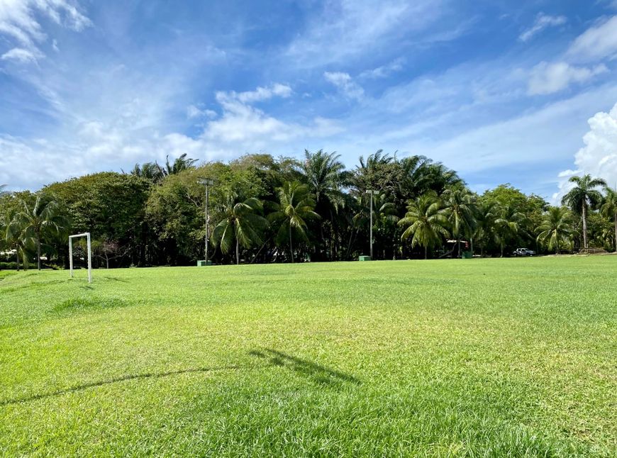 Lote/Terreno para venda tem 920 metros quadrados em Busca Vida (Abrantes) - Camaçari - BA