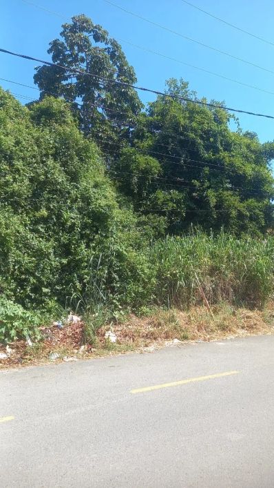 Terreno para venda possui 1551 metros quadrados em Catu de Abrantes (Abrantes) - Camaçari - BA