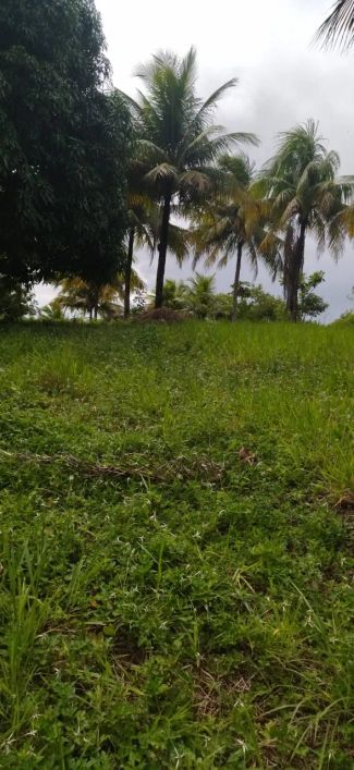 Excelente Terreno 8044 m2 na Cascalheira - Camaçari/Bahia