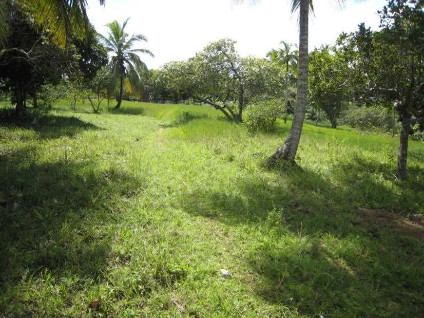 Lote/Terreno para venda tem 30000 metros quadrados em Malícia (Abrantes) - Camaçari - Bahia