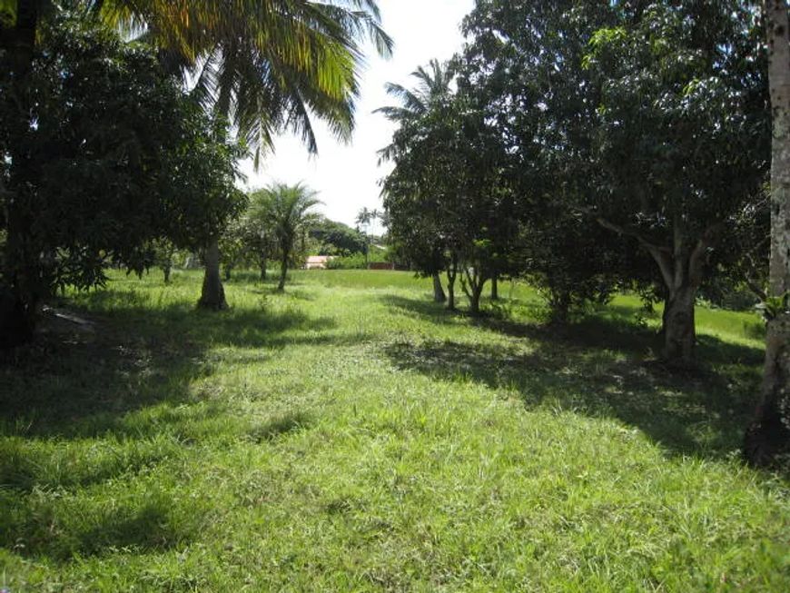 Lote/Terreno para venda tem 30000 metros quadrados em Malícia (Abrantes) - Camaçari - Bahia