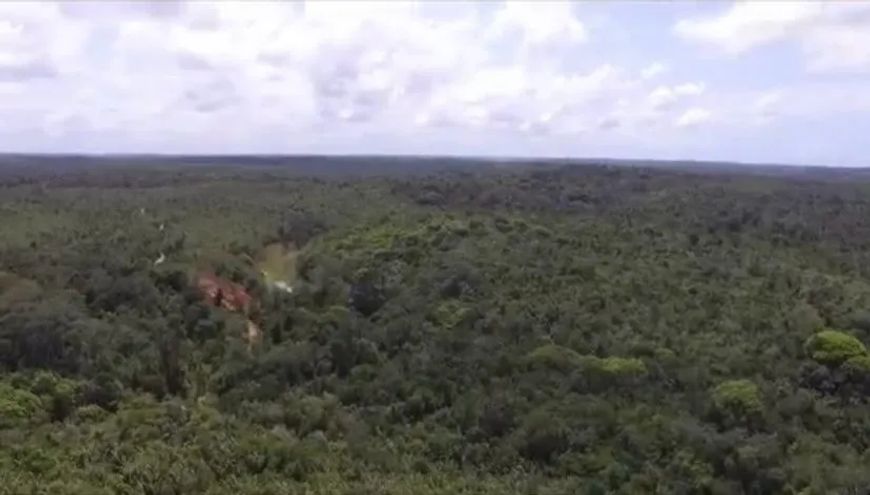 Terreno 90.000 m² no Litoral Norte da Bahia – R$ 6/m²