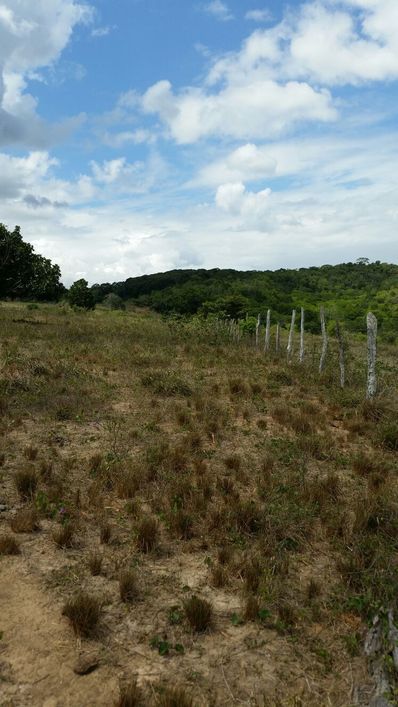 TERRENO EM ABRANTES COM 12.000 M2, EXCELENTE PARA MINHA CASA MINHA VIDA E PROJETOS SIMILARES,