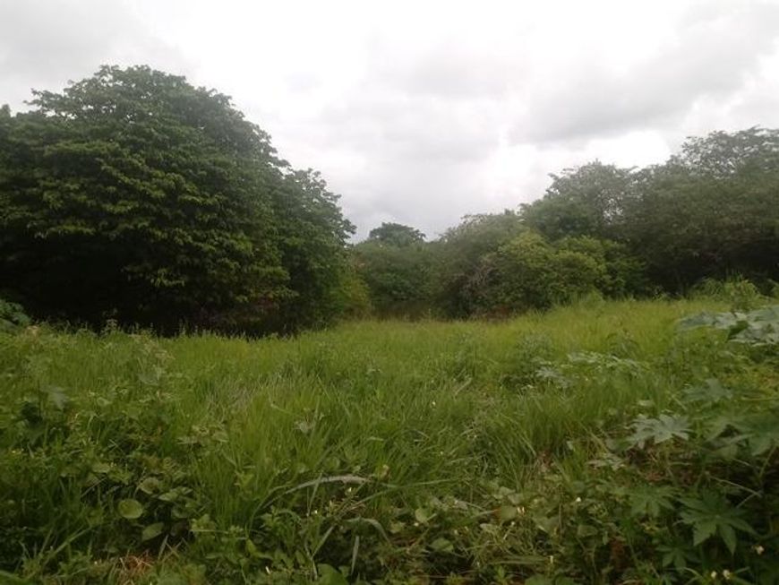 Terreno a venda no Catu de Abrantes, em frente ao Rio Joanes, 1500 m2