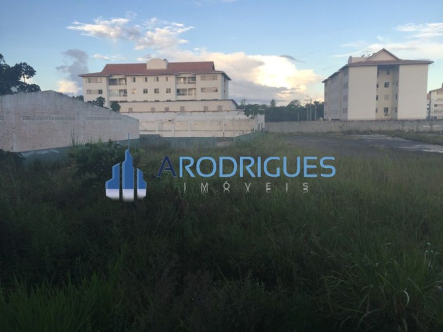 TERRENO EM ABRANTES, PLANO, ÓTIMO PARA MINHA CASA MINHA VIDA, GALPÕES, INCORPORAÇÕES