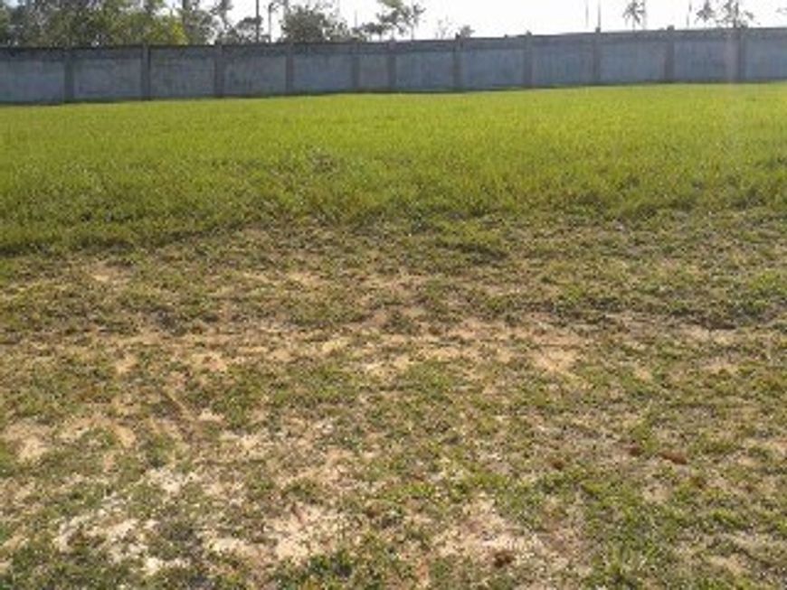 TERRENOS À VENDA ALPHAVILLE LITORAL NORTE I, A PARTIR DE R$ 702.990,00. VÁRIAS OPÇÕES.