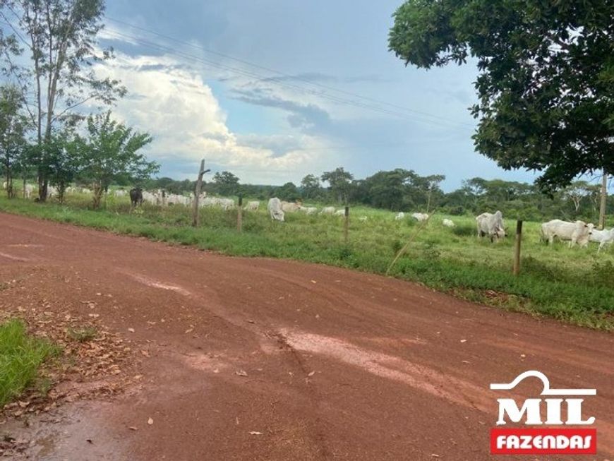 Fazenda a 150 km Palmas. &gt; 380 Alq. (1.839 Há). Vale do Araguaia