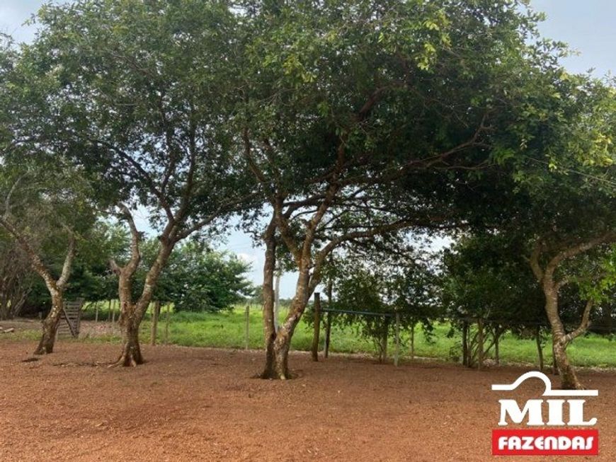 Fazenda a 150 km Palmas. &gt; 380 Alq. (1.839 Há). Vale do Araguaia