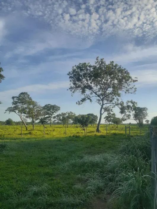 Fazenda, 30 Alqueires - Formada, Plana, Divinópolis. Analisa Permuta DF/Entorno