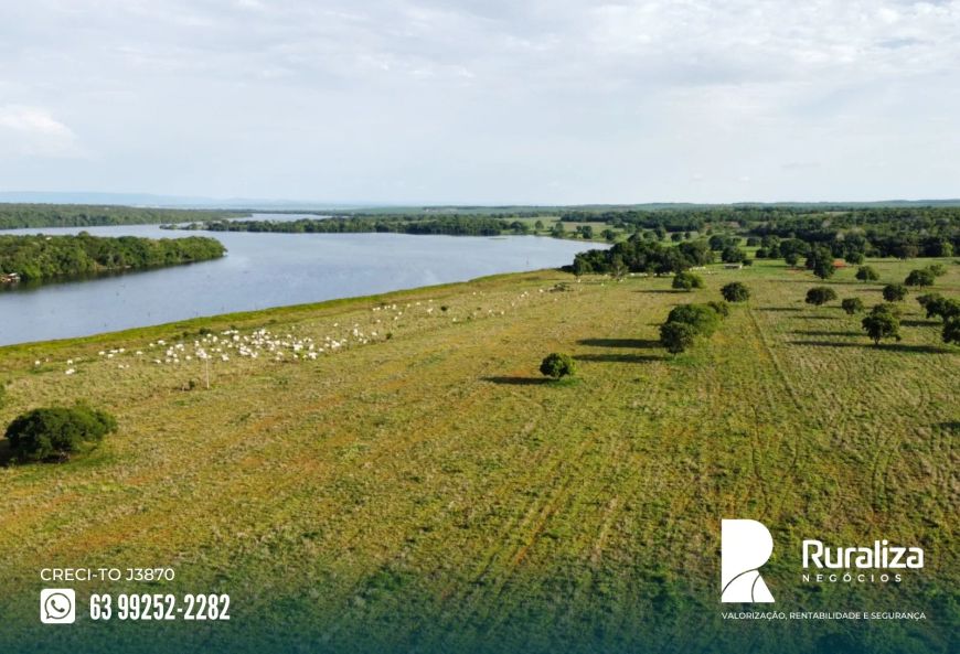 Palmas - TO Propriedade às margens do lago de Palmas/TO 80% de aproveitamento agrícola