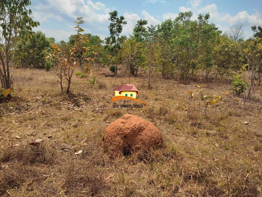 Fazenda para Venda em Palmas, Região produtora consolidada