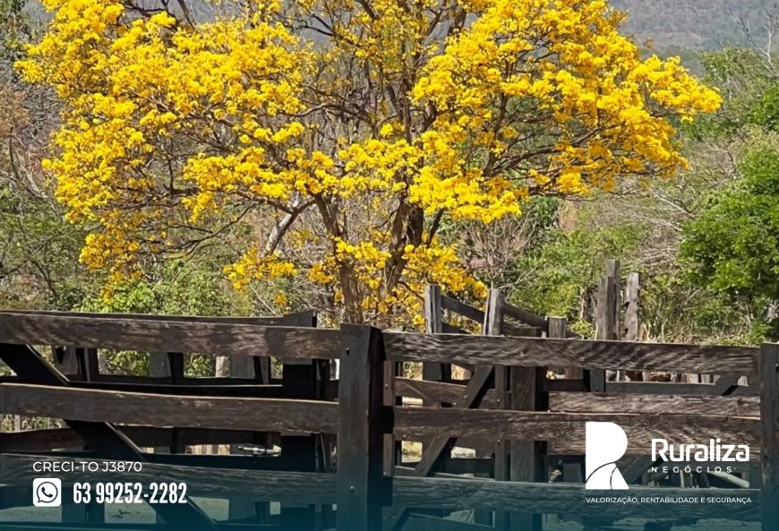 Palmas - TO 25 km do asfalto, 24,20 hectares com licenças e com potecial para irrigação