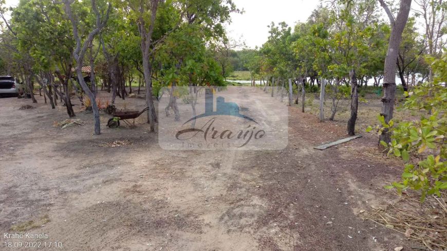 Chácara, Área Rural de Palmas, Palmas - R$ 550 mil, Cod: 2180