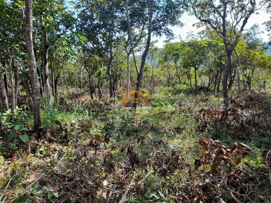 Terreno, 2.618 m² - Próximo ao Limpão, n° 02 - Palmas/TO