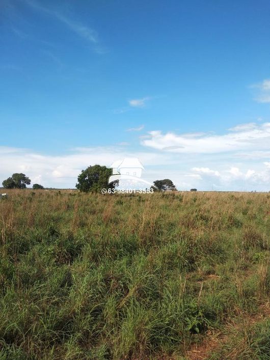 Fazenda para Venda em Palmas, Área Rural