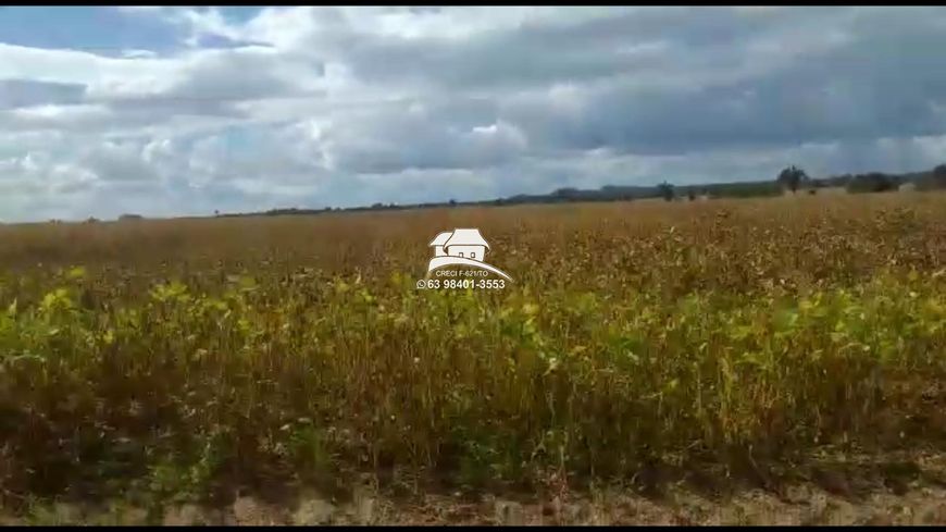 Fazenda para Venda em Palmas, Área Rural