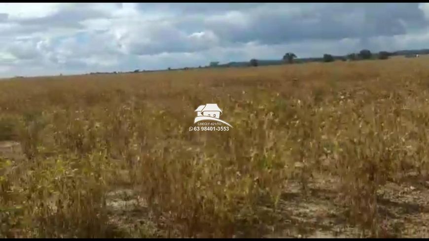 Fazenda para Venda em Palmas, Área Rural