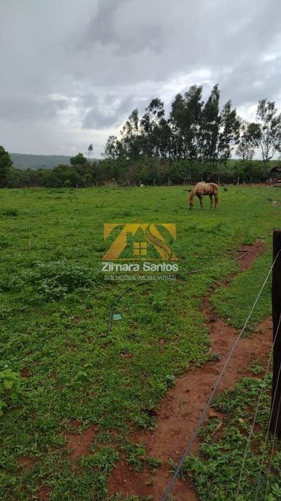 Fazenda, 32 alqueires - Zona Rural - Palmas/TO