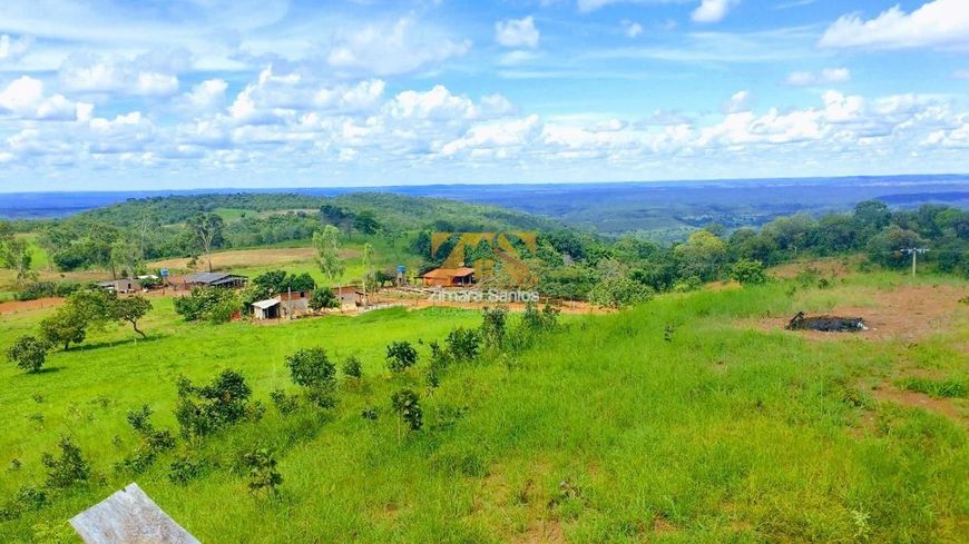 Fazenda, 32 alqueires - Zona Rural - Palmas/TO