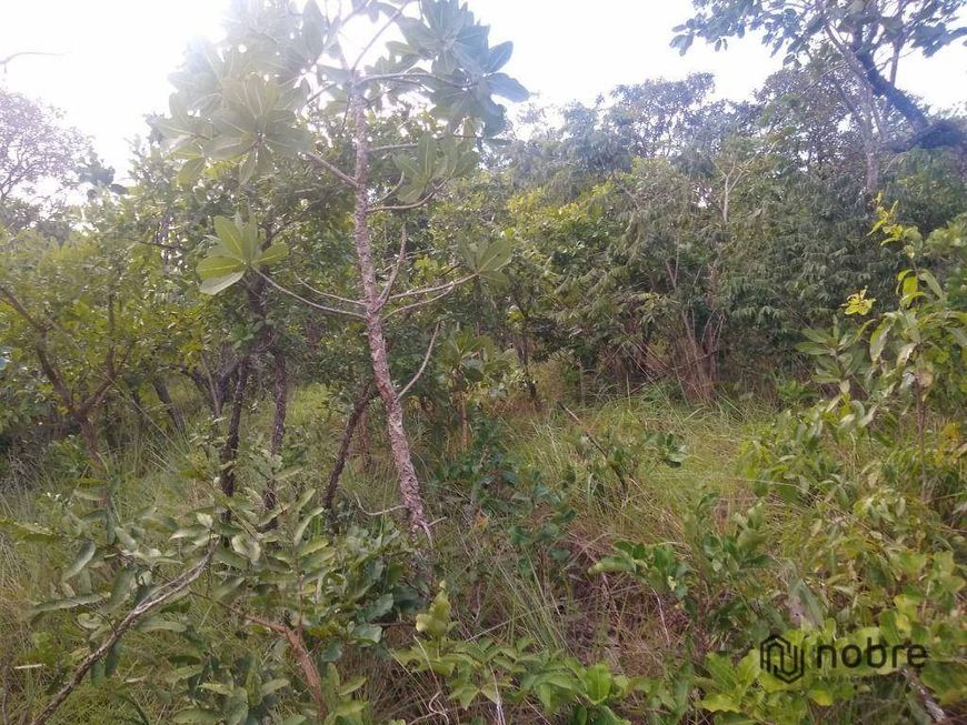 Chácara à venda, 25000 m² por R$ 400.000,00 - Zona Rural - Palmas/TO