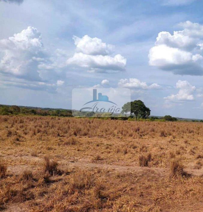 Fazenda, Área Rural de Palmas, Palmas - R$ 37 mi, Cod: 1912